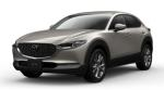 軽自動車 日産 test（新車）のカーリース画像